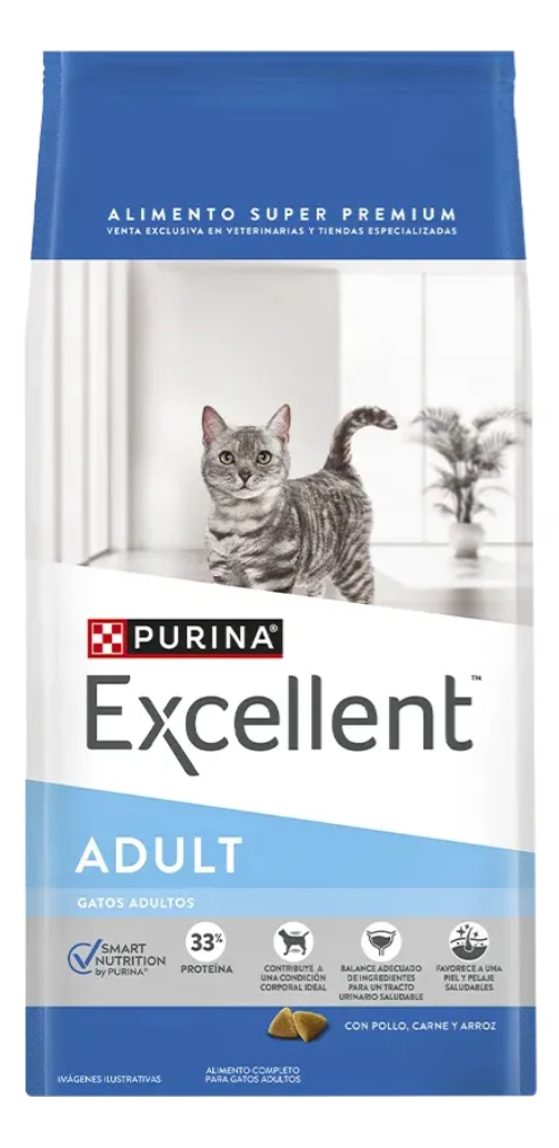 gato adulto